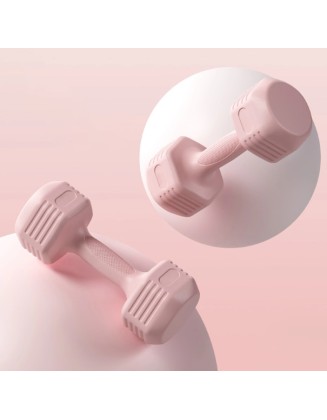 Fitness equipment - Fitness exercise dumbbells